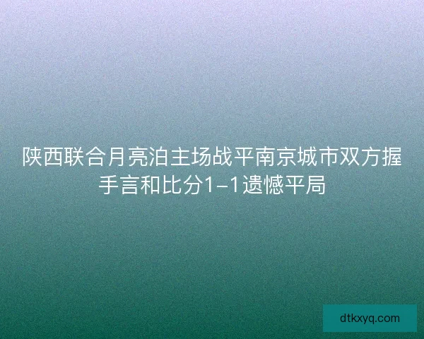 陕西联合月亮泊主场战平南京城市双方握手言和比分1-1遗憾平局
