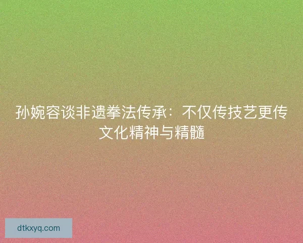 孙婉容谈非遗拳法传承：不仅传技艺更传文化精神与精髓